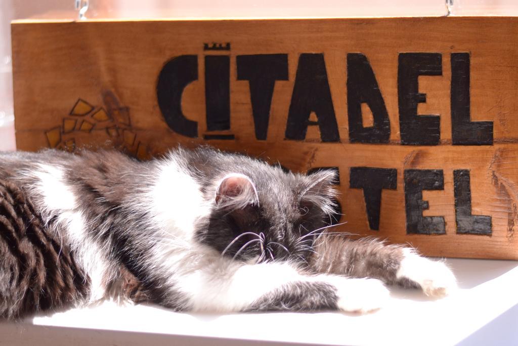 Citadel Hostel Alba Iulia Luaran gambar